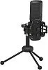 Behringer BU200 Студийный конденсаторный микрофон премиум-класса с USB портом.-1