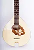 Hora M1089 Irish Bouzouki Бузуки.-2