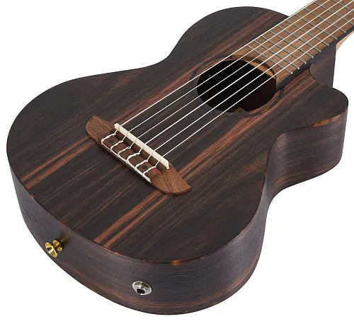 Ortega RGL5EB Timber Series Гиталеле.