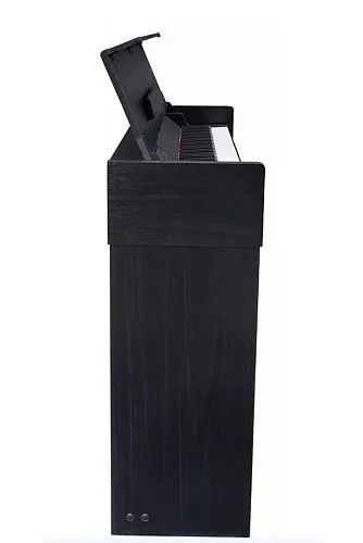 Medeli CP203-BK Цифровое пианино.