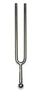 Wittner 921440IE Камертон вилочный Ля, в чехле. Круглое сечение.