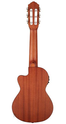 Ortega RGL5CE Bonfire Series Гиталеле.