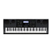 Casio WK-6600 Синтезатор с автоаккомпанементом.-1