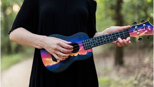 Flight TUS EE Sunset Elise Ecklund (Элиз Эклунд) Укулеле.