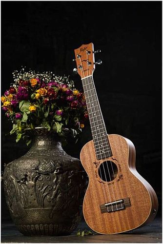 Flight DUC323 Mah Укулеле концерт.