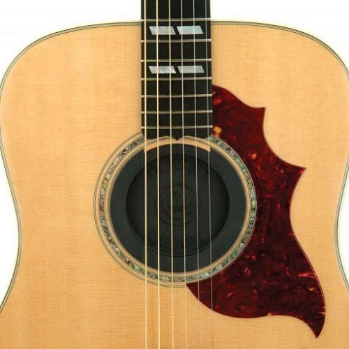 Planet Waves PW-SH-01 Заглушка для розетки на акустическую гитару.