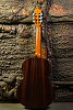 Perez 610 Cedar Гитара классическая-5