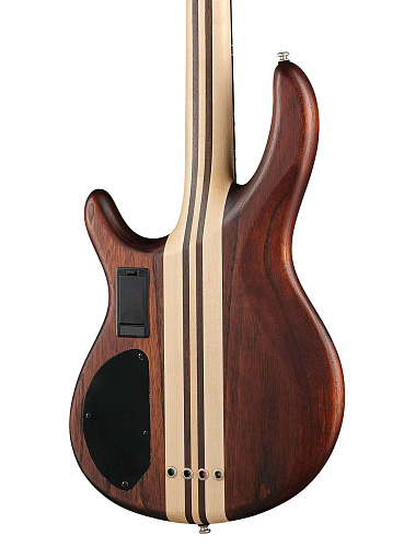 Cort A4-Plus-FMMH-OPN Artisan Series Бас-гитара.