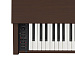 Casio Celviano AP-270BN Цифровое пианино.-2