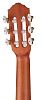 Ortega RGL5CE Bonfire Series Гиталеле.-5