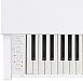Casio Celviano AP-270WE Цифровое пианино с банкеткой.-4